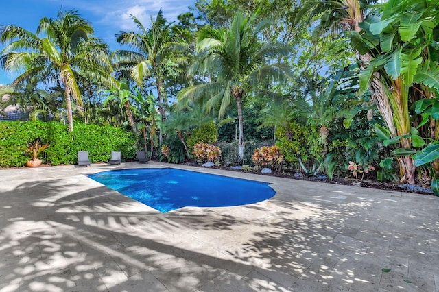 view of swimming pool with a patio