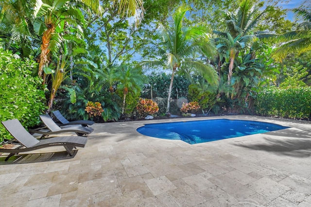 view of pool featuring a patio area