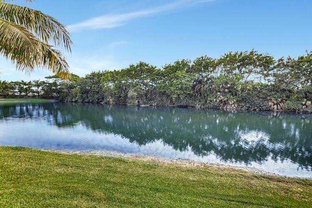 property view of water