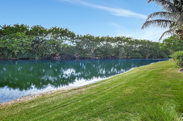 view of water feature