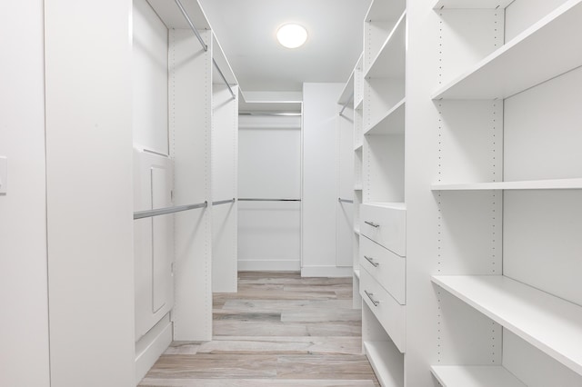 spacious closet featuring light hardwood / wood-style flooring