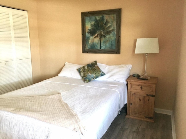 bedroom with a closet and dark wood-type flooring