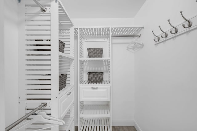 spacious closet with wood-type flooring