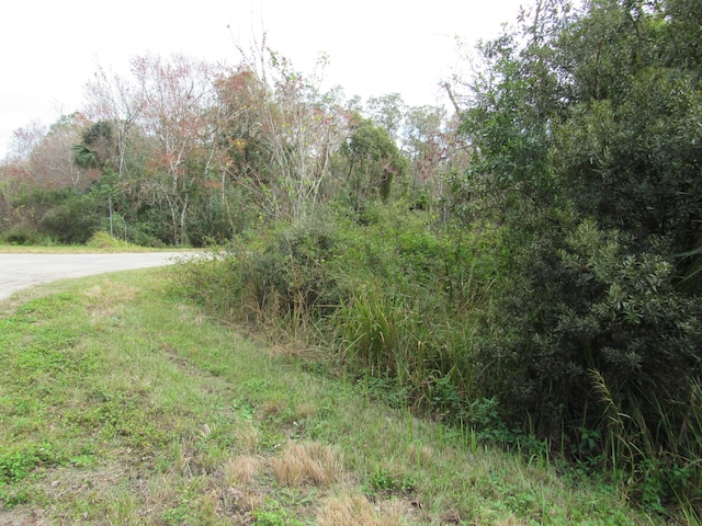 Listing photo 2 for Address Not Disclosed, Okeechobee FL 34972