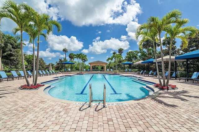 view of swimming pool featuring a lawn