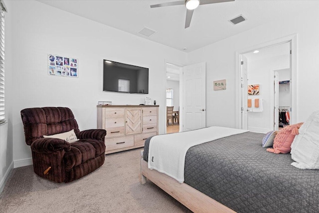 carpeted bedroom featuring a walk in closet and ceiling fan