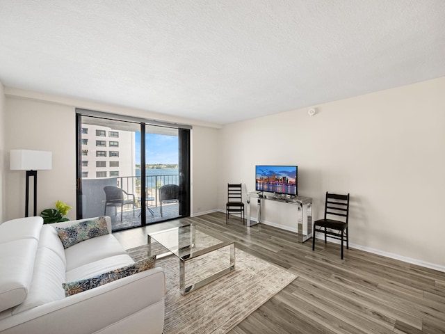 living area featuring a textured ceiling, wood finished floors, and baseboards