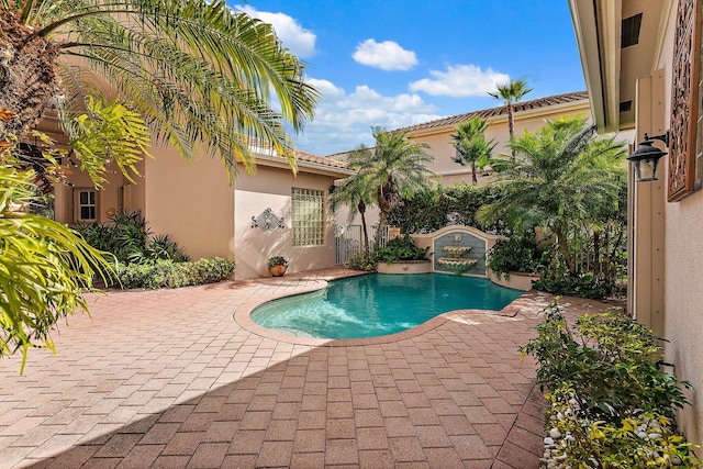 view of pool with a patio