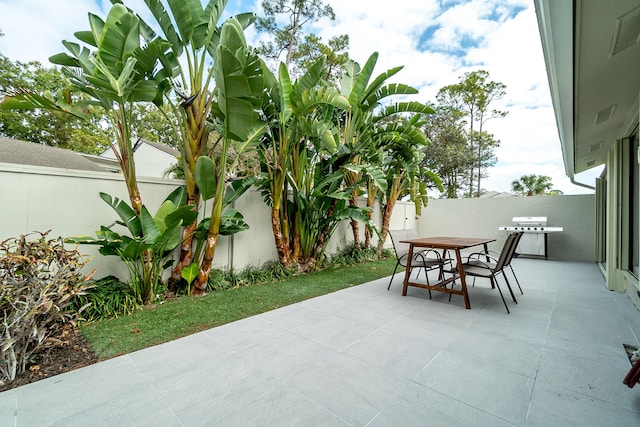 view of patio / terrace featuring grilling area