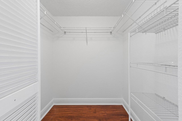 walk in closet featuring wood-type flooring