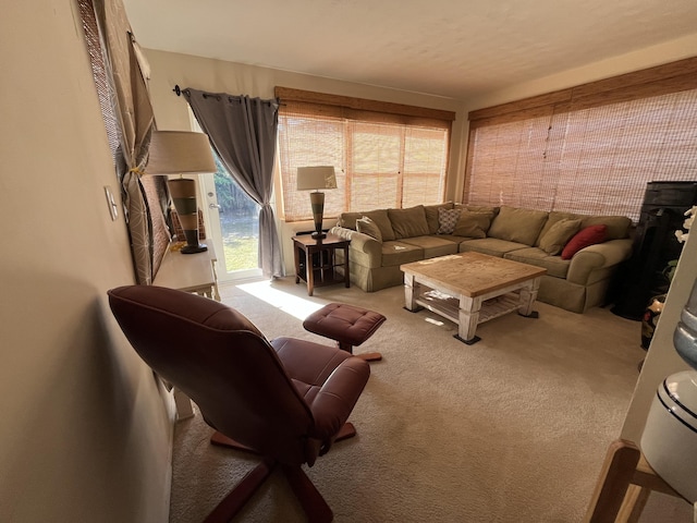 living room featuring light carpet