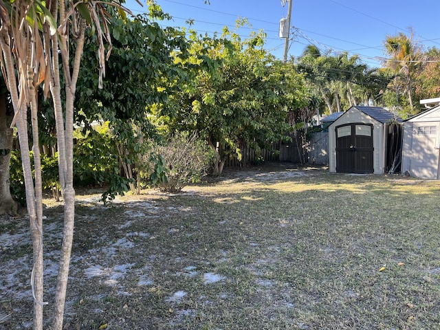 view of yard featuring a storage shed