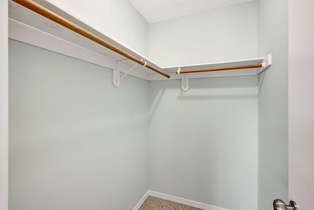 spacious closet featuring carpet