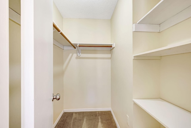 walk in closet with carpet floors