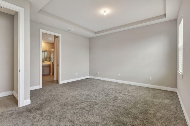 empty room featuring carpet flooring, a wealth of natural light, and a tray ceiling