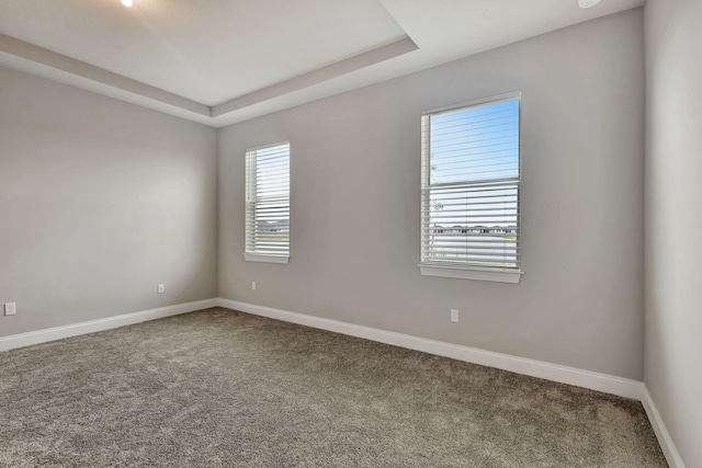 carpeted spare room with a tray ceiling