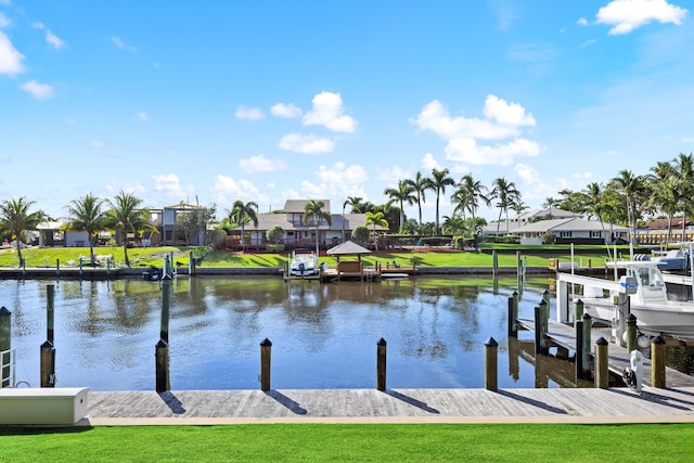 dock area with a water view