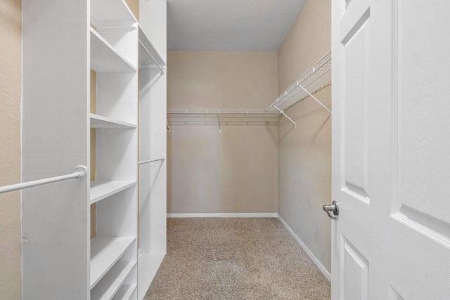 spacious closet with light colored carpet