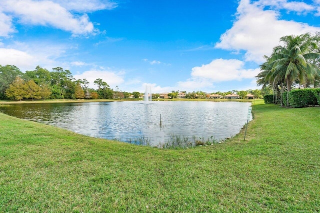 view of water feature