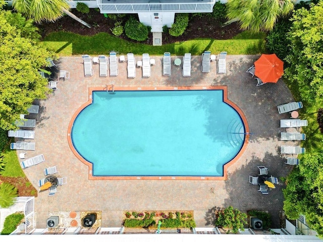 view of swimming pool