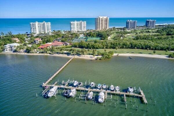 aerial view with a water view