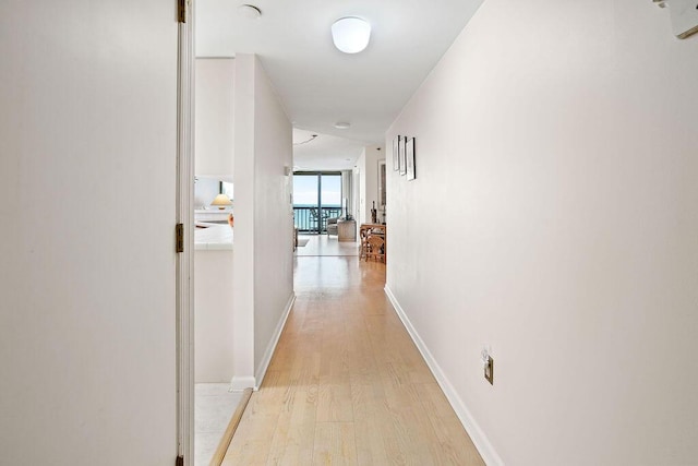 hall with expansive windows and light hardwood / wood-style floors