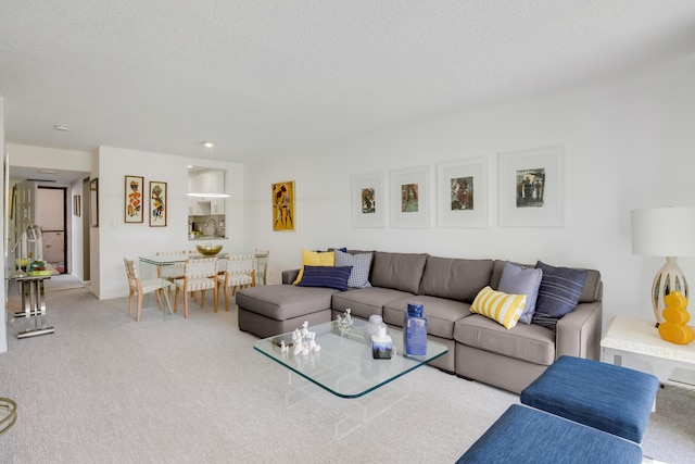 living room featuring a textured ceiling and light colored carpet