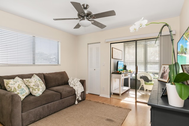 living room featuring light hardwood / wood-style floors, ceiling fan, and a healthy amount of sunlight