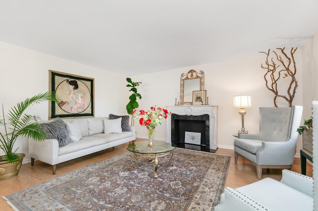 living room featuring wood-type flooring and a premium fireplace