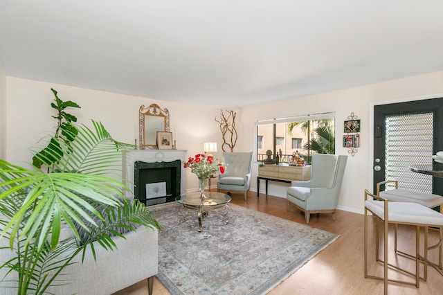 sitting room with hardwood / wood-style flooring