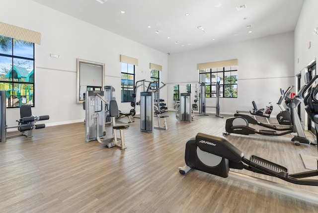 gym featuring light hardwood / wood-style flooring and a high ceiling