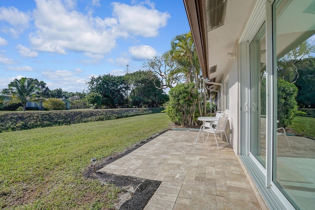 view of yard featuring a patio area