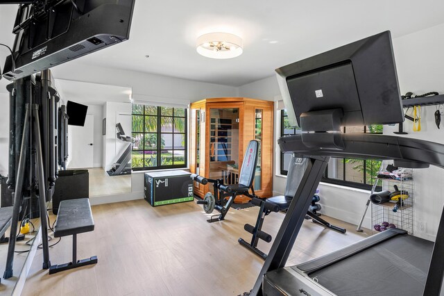 exercise area with plenty of natural light and light hardwood / wood-style flooring