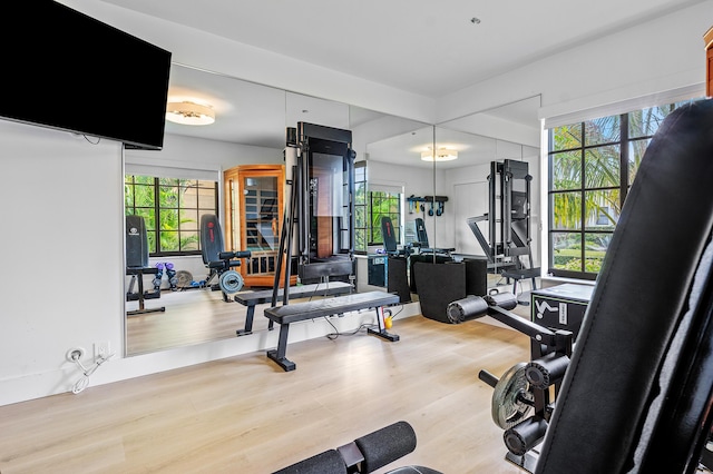 exercise room with plenty of natural light and light wood-type flooring