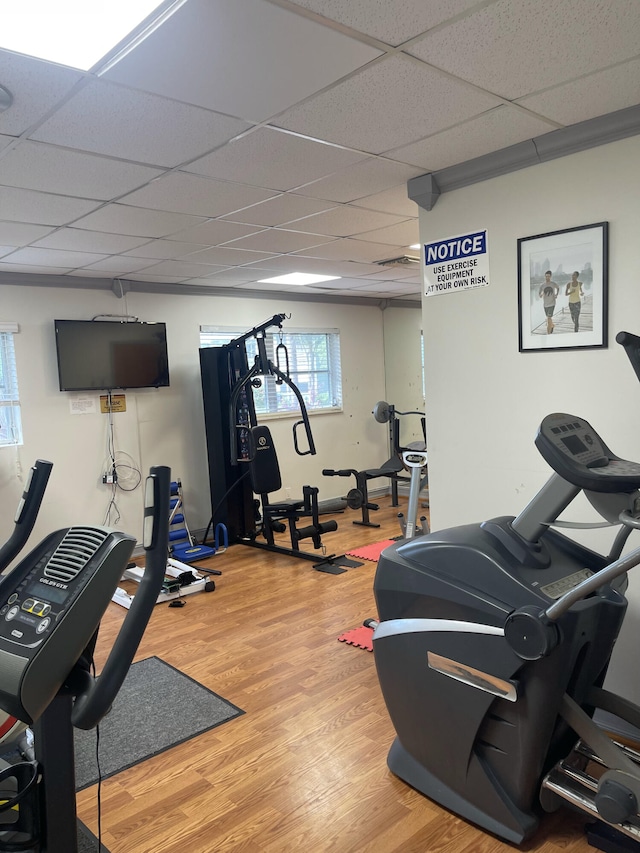 exercise area with wood-type flooring and a drop ceiling