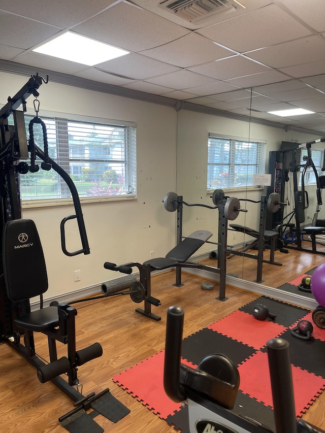 workout room with wood-type flooring and a drop ceiling