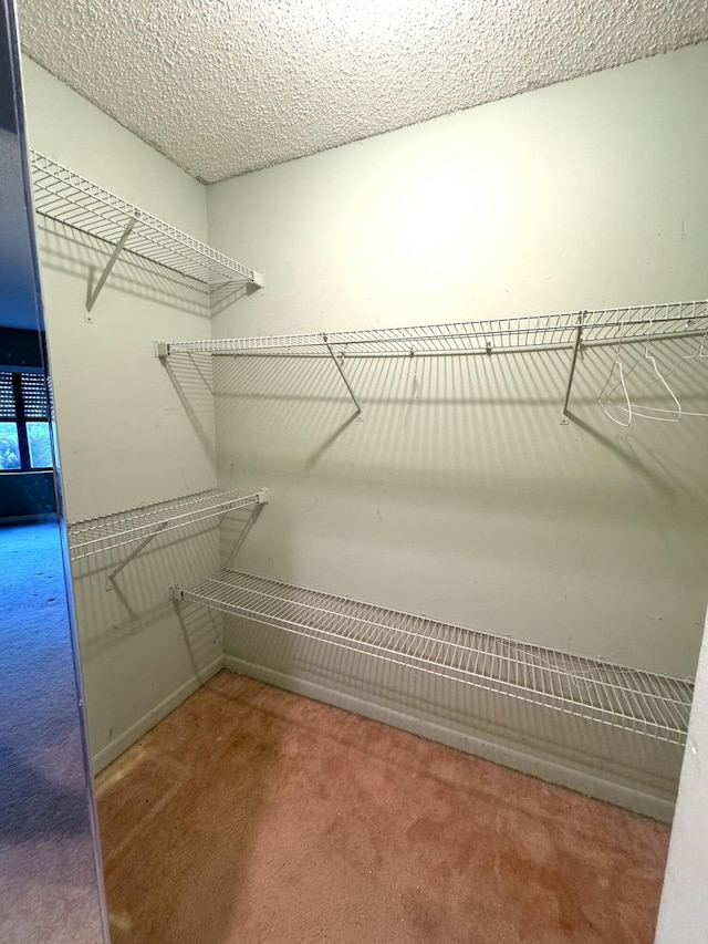 spacious closet featuring carpet