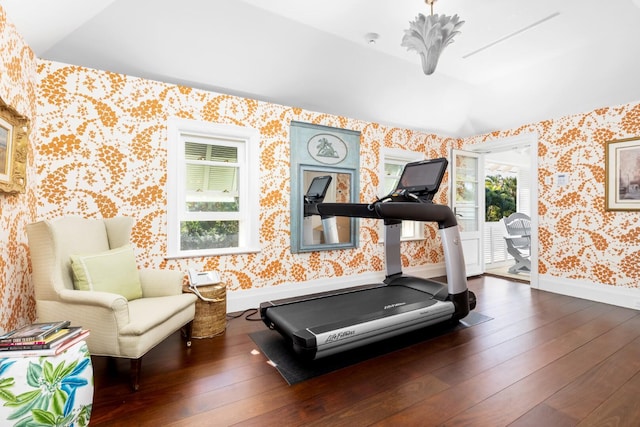 workout area with dark hardwood / wood-style flooring