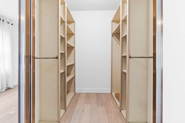 spacious closet with light wood-type flooring