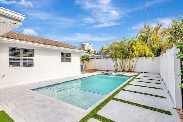 view of swimming pool with a patio