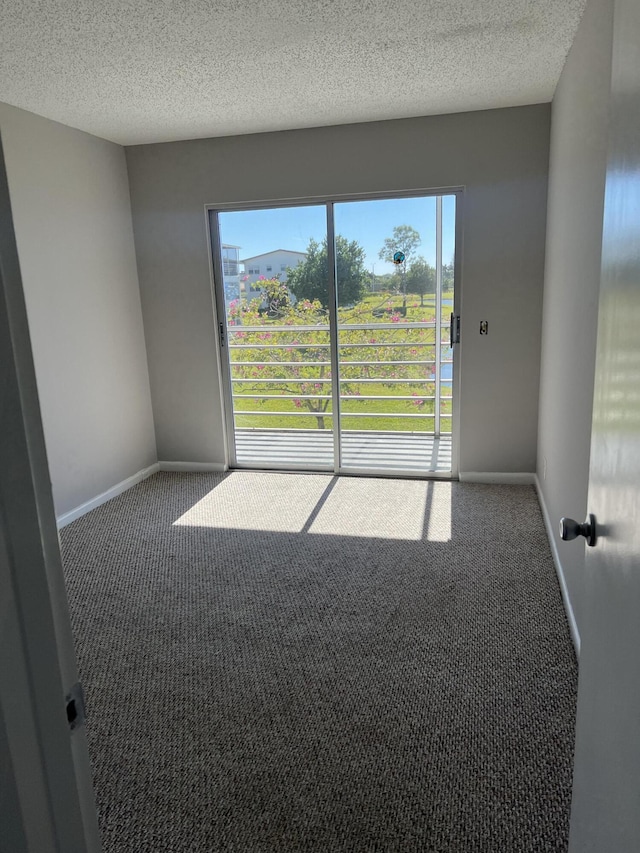 unfurnished room featuring carpet and a textured ceiling