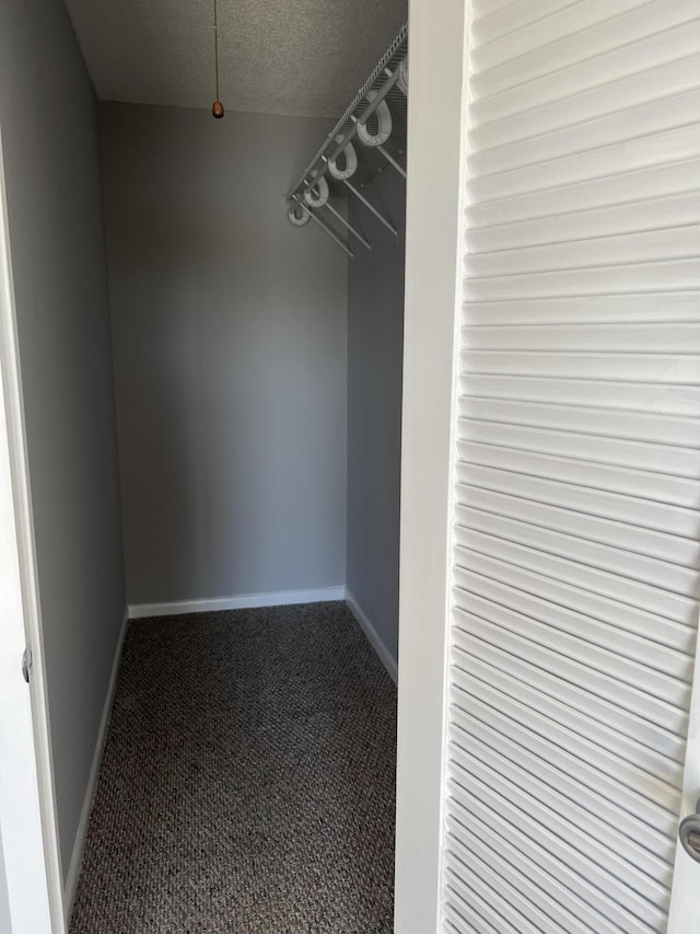 spacious closet with carpet floors