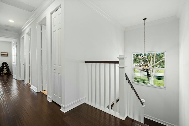 hallway with crown molding and dark wood-type flooring