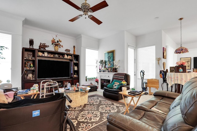 living room with ceiling fan and wood-type flooring