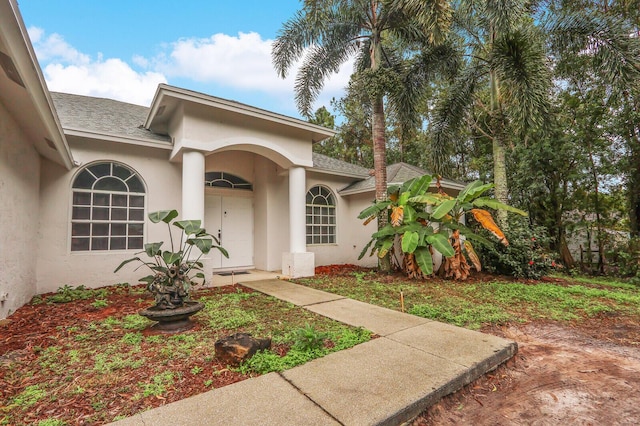 doorway to property featuring a shingled roof and stucco siding