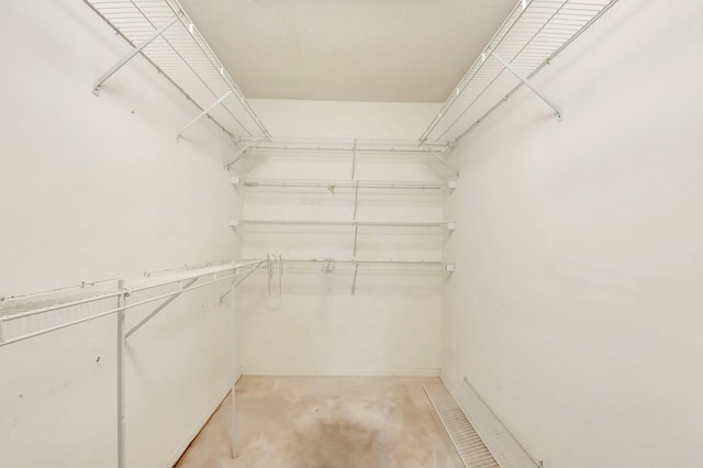 view of spacious closet