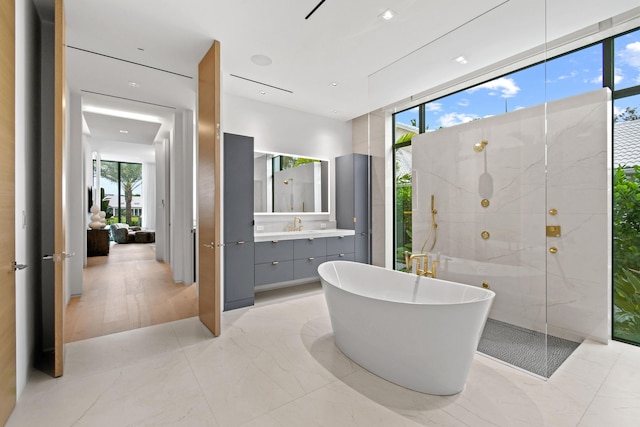 bathroom with vanity, plenty of natural light, and independent shower and bath