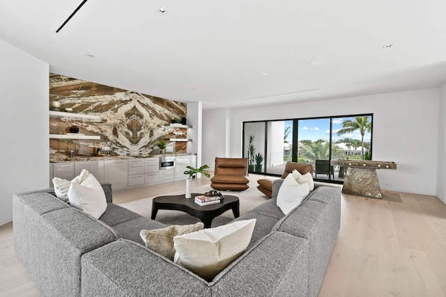 living room featuring light hardwood / wood-style flooring