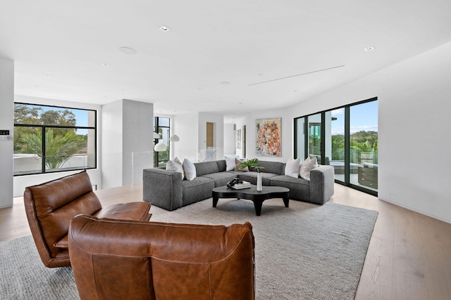 living room featuring light hardwood / wood-style flooring