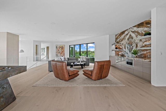 living room featuring light hardwood / wood-style floors